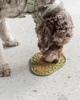 Avocado Enrichment Licking Mat