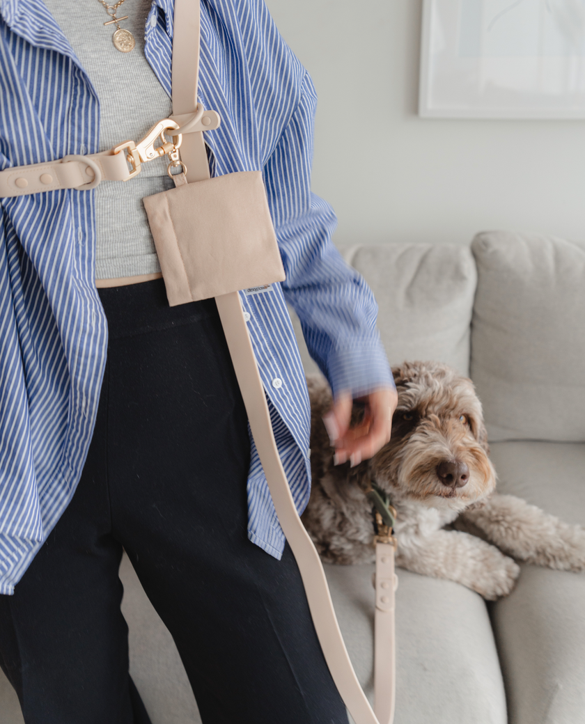 DexyPaws Hands Free Waterproof Leash pink