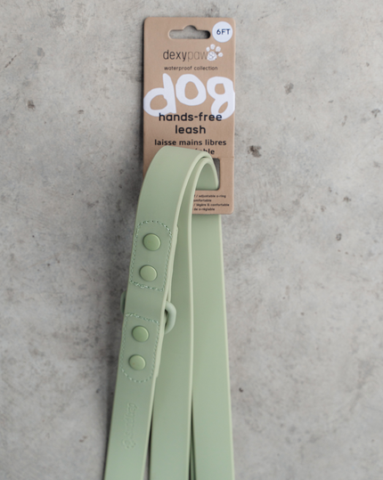 DexyPaws Hands Free Waterproof Leash green