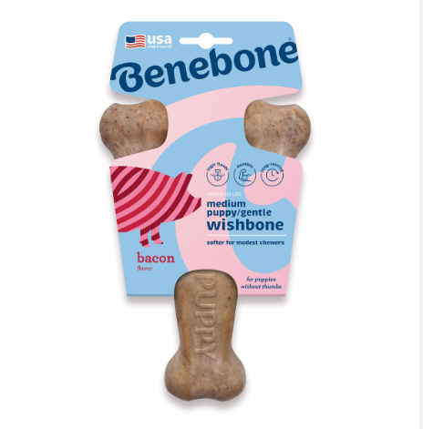 Puppy Wishbone - Bacon Flavour - Medium (7.0in x 4.8in)