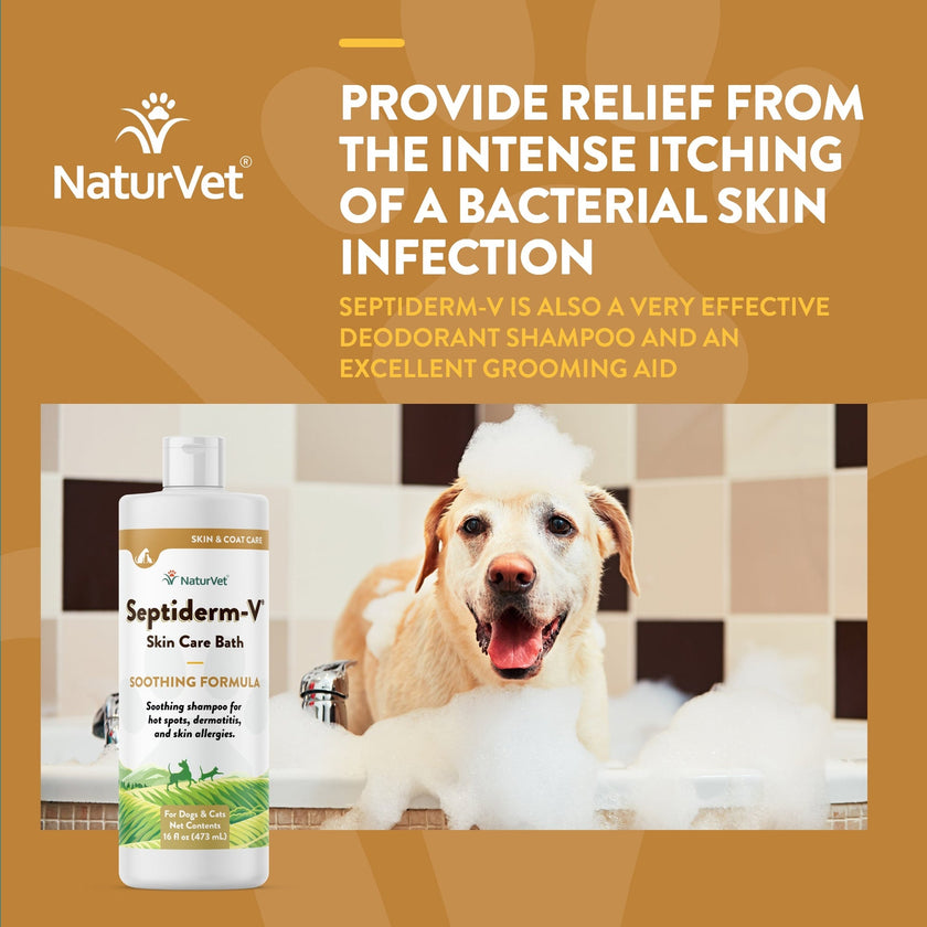 NaturVet®'s Septiderm-V® Skin Care Bath Lotion - 8oz