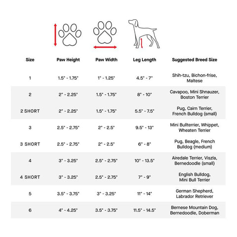 Dog Suspender Boots - 2 Long