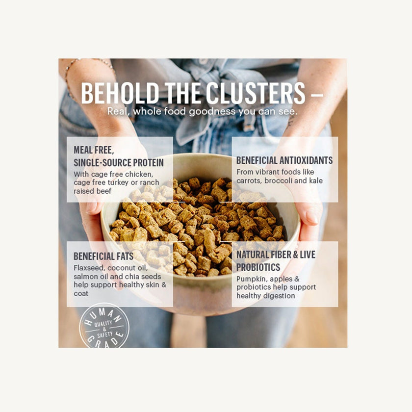 The Honest Kitchen Whole Food Clusters - Grain Free Chicken Recipe (20lb)