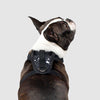 Canada Pooch Dog Harness