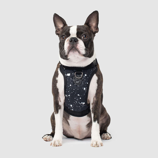 Canada Pooch Dog Harness