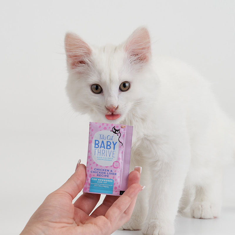 Tiki Cat Baby Thrive - High Calorie Supplement For Kittens