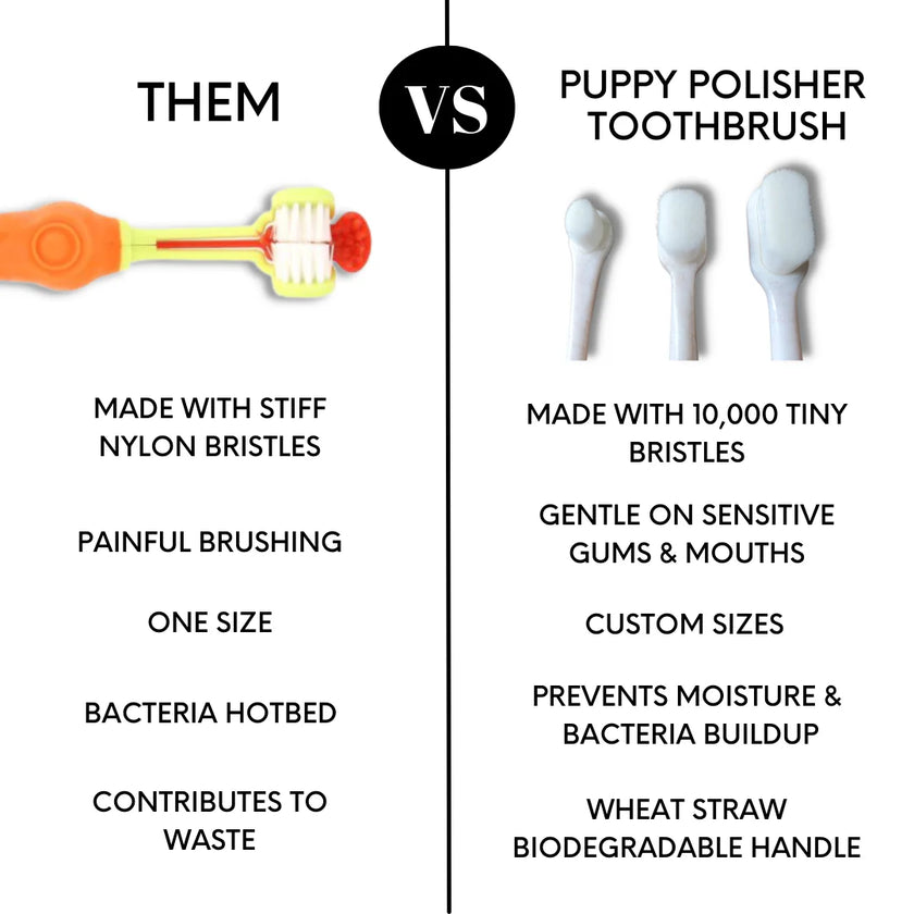 Wag & Bright Puppy Polisher Eco Toothbrush - XS