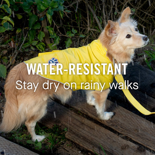 Canada Pooch - Torrential Tracker Raincoat - Yellow
