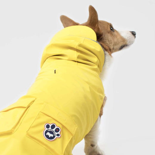 Canada Pooch - Torrential Tracker Raincoat - Yellow