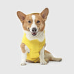Canada Pooch - Torrential Tracker Raincoat - Yellow
