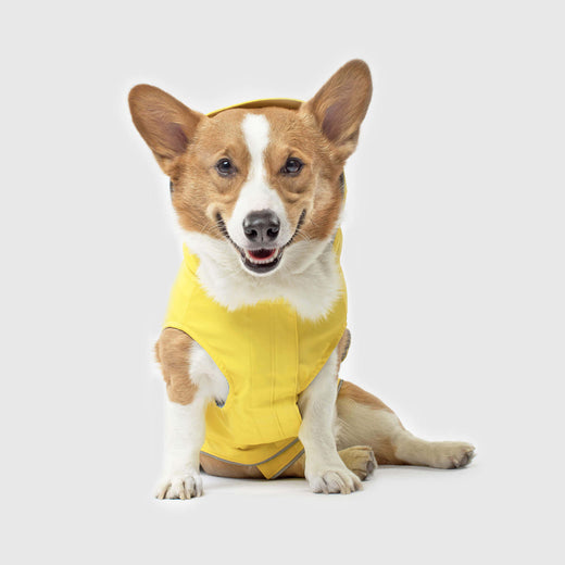 Canada Pooch - Torrential Tracker Raincoat - Yellow
