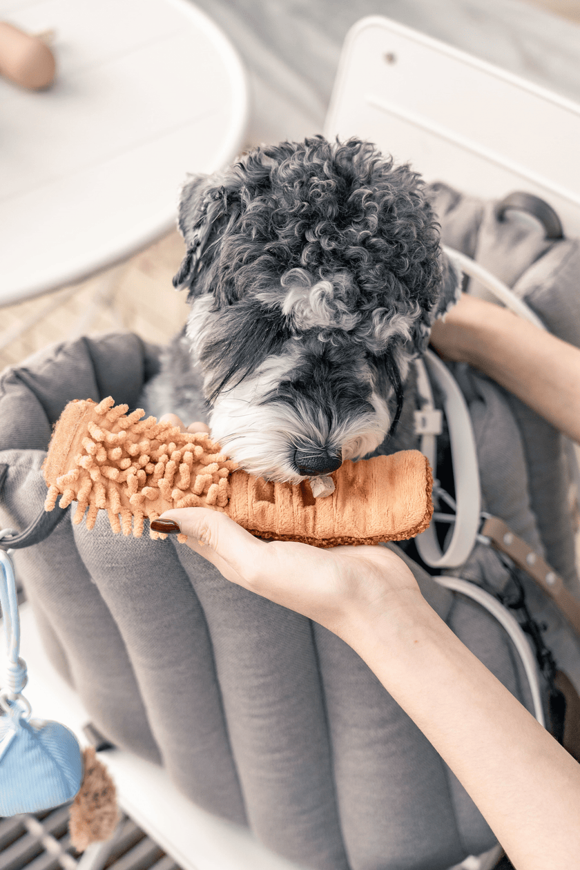 PoPupJoys - CLIK Pup Charm Toy - Blue