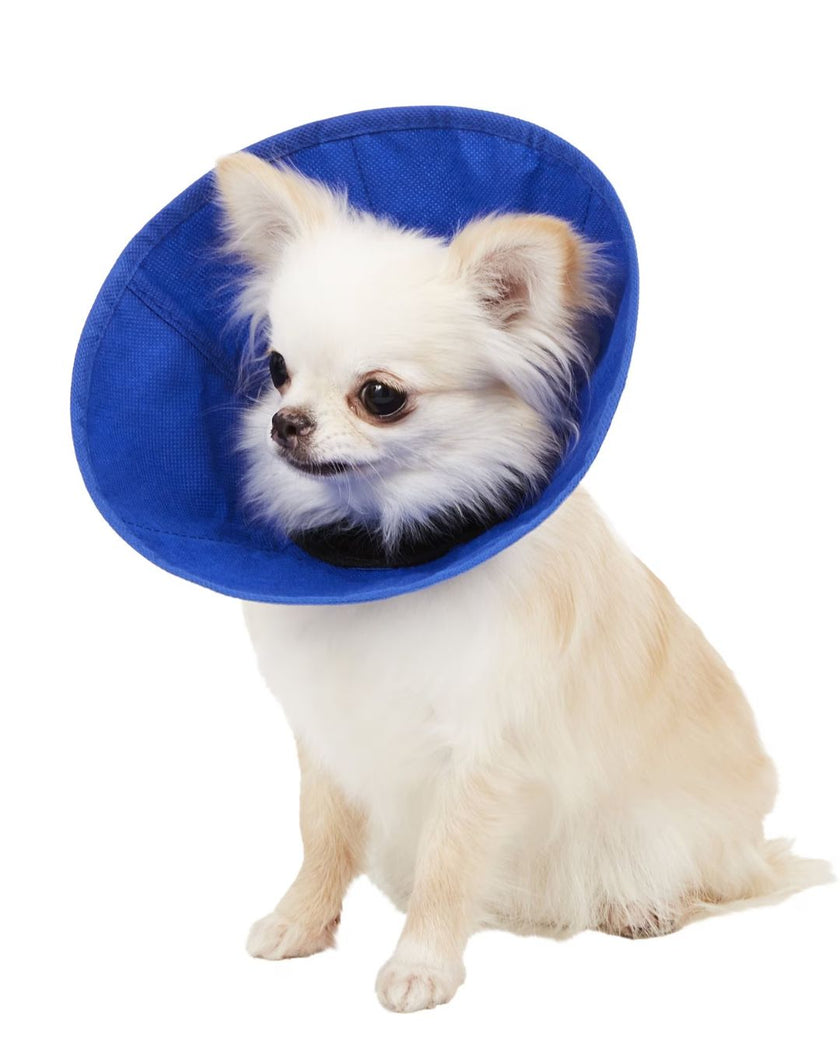 KONG EZ Soft Collar - Small