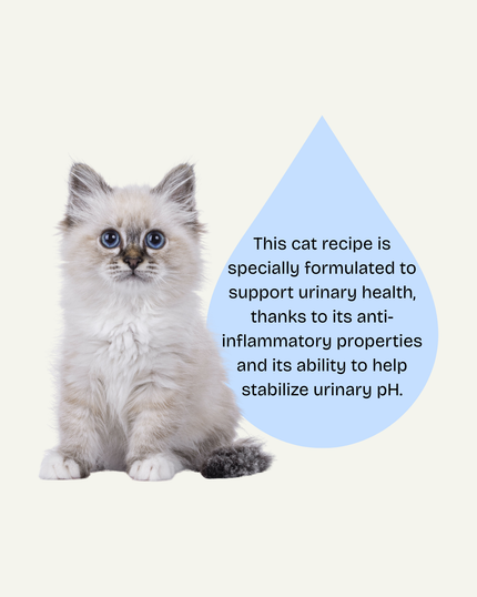 Oven-Baked Tradition Nature’s Code Urinary Tract Support Dry Cat Food - Chicken Recipe - 5lb