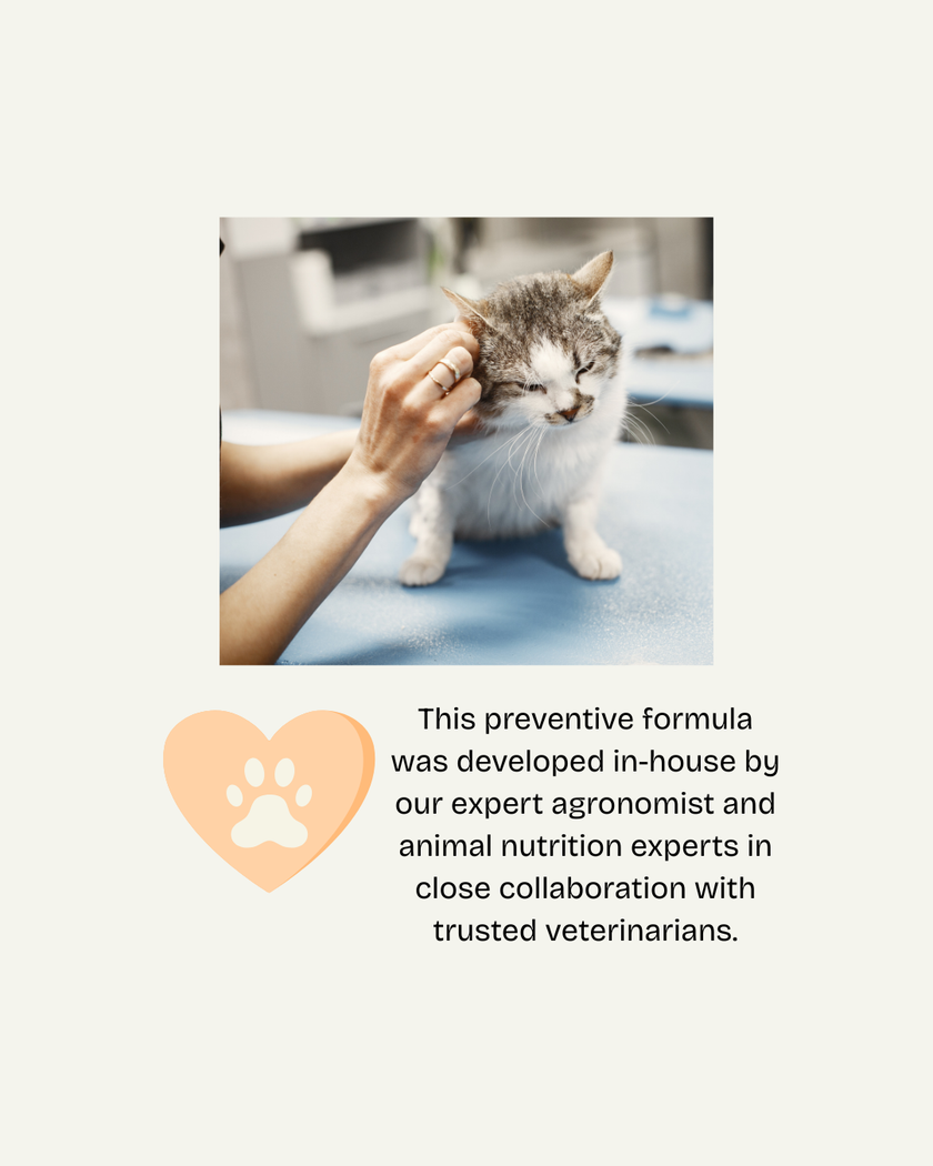 Oven-Baked Tradition Nature’s Code Urinary Tract Support Dry Cat Food - Chicken Recipe - 5lb