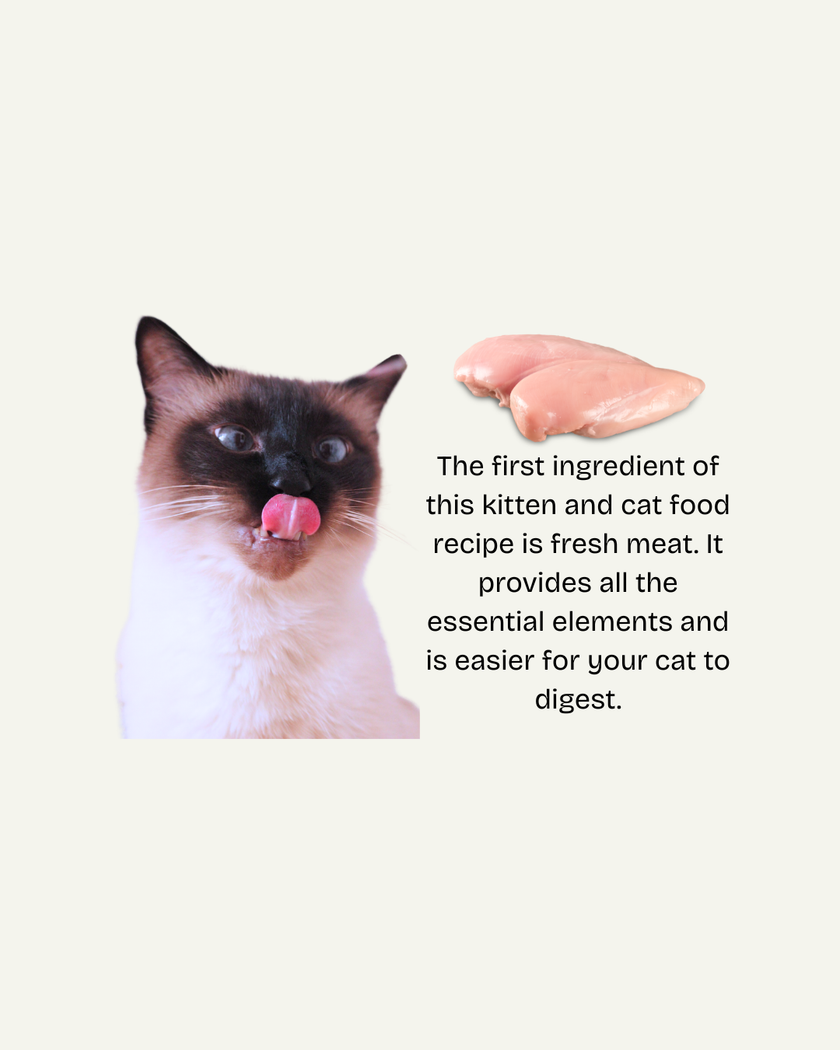 Oven-Baked Tradition Nature’s Code Urinary Tract Support Dry Cat Food - Chicken Recipe - 5lb