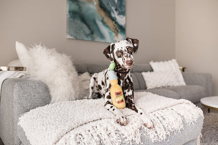 Tropical Paradise Canine Cerveza Dog Toy