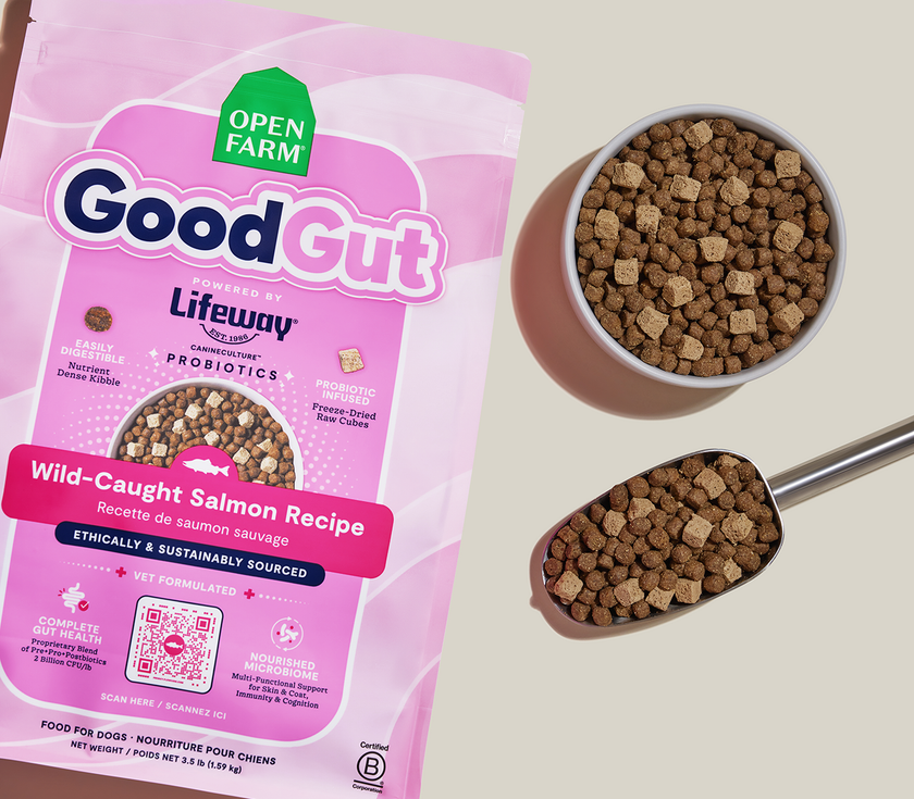 Open Farm GoodGut Wild-Caught Salmon Recipe Gut Health Dog Food