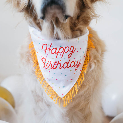 ZippyPaws Birthday Bandana & Bone