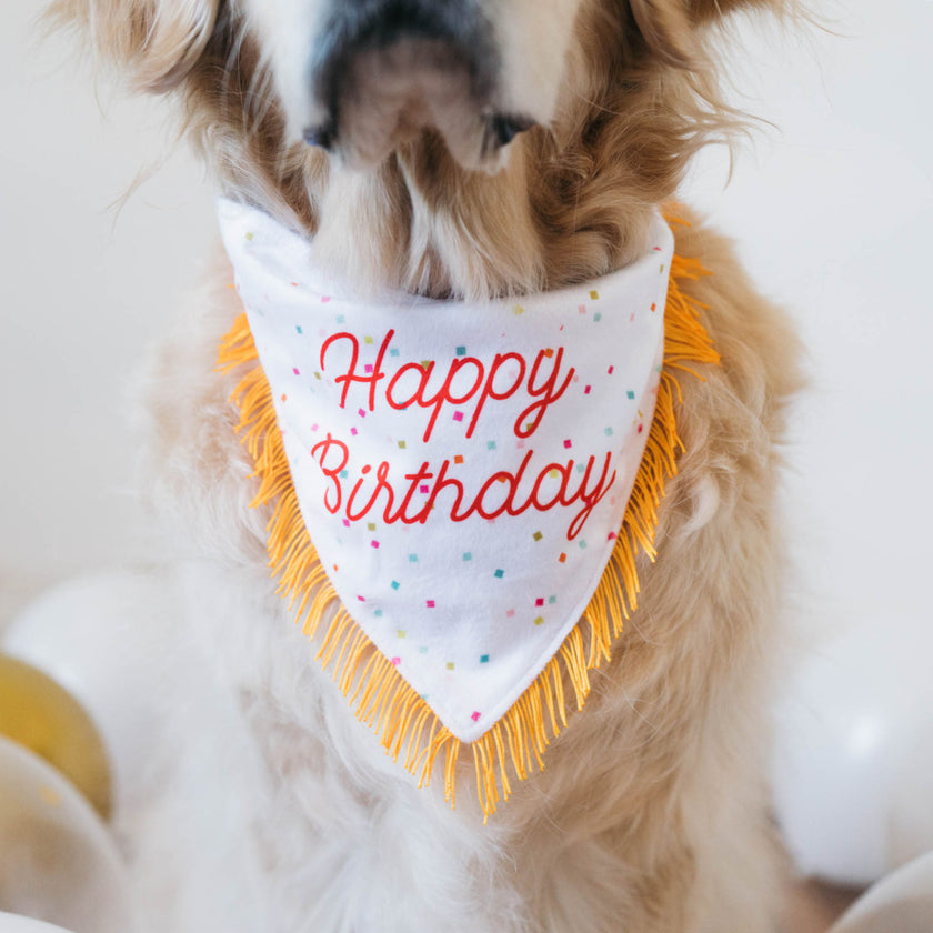 ZippyPaws Birthday Bandana & Bone