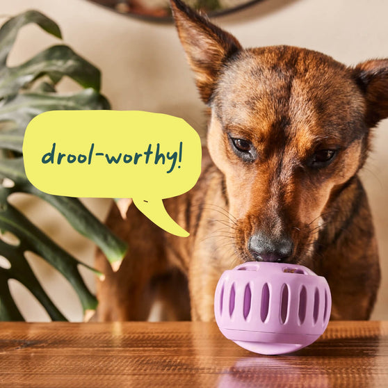 Woof Pupsicle - Forest Green