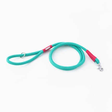 Zippy Paws Mod Essential Leash 5ft - Teal