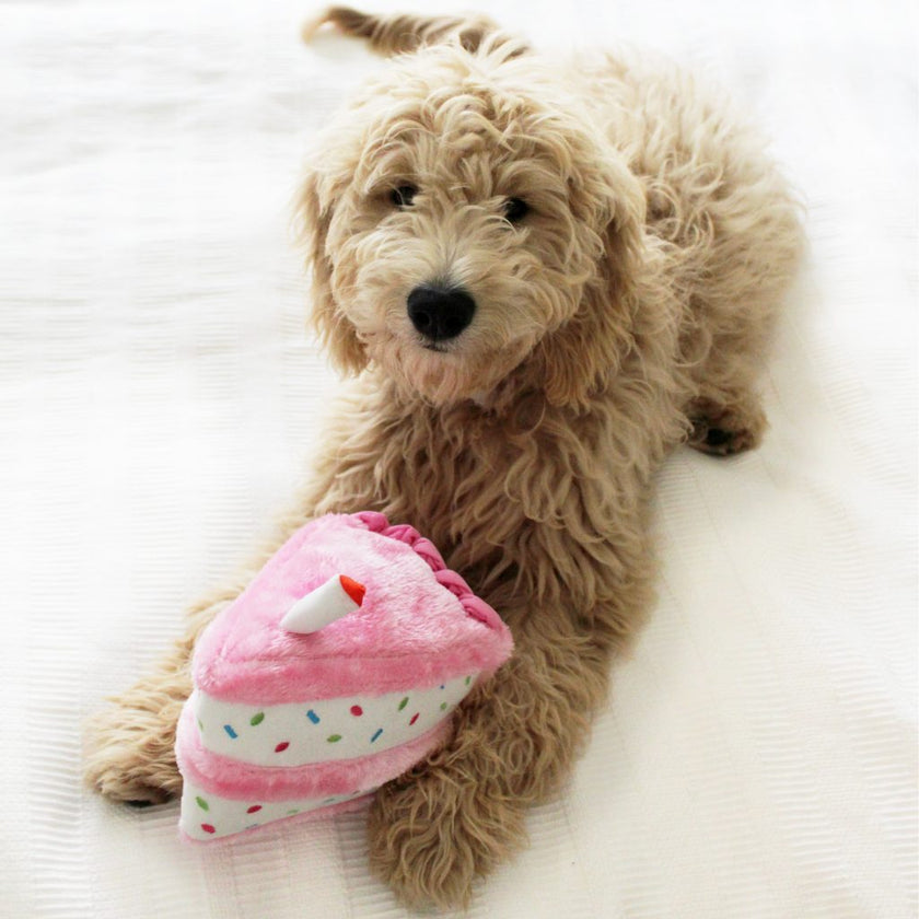 ZippyPaws Birthday Cake Dog Toy - Pink