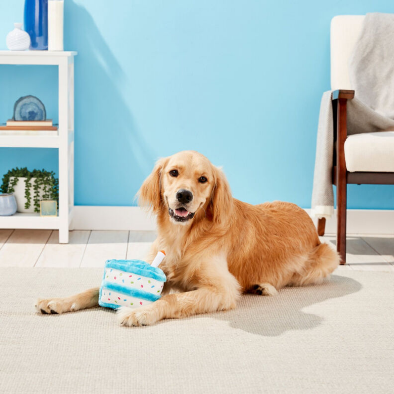 ZippyPaws Birthday Cake Dog Toy - Blue