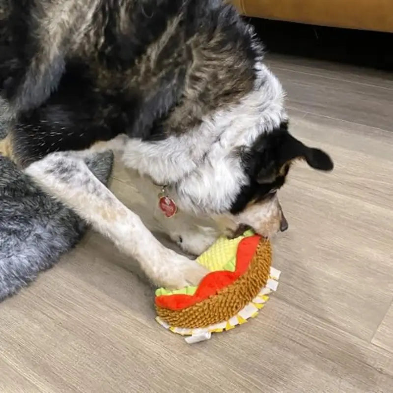 Taco 'Bout Fun Plush