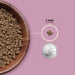 Acana Kitten Highest Protein Dry Cat Food (4lb/1.8kg)