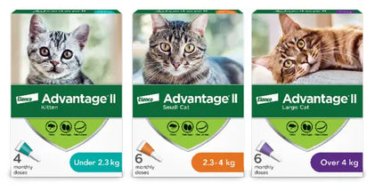 Advantage II Cat Treatment