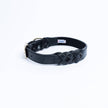 Angel Pet Supplies - Leather Braided Collar - Black