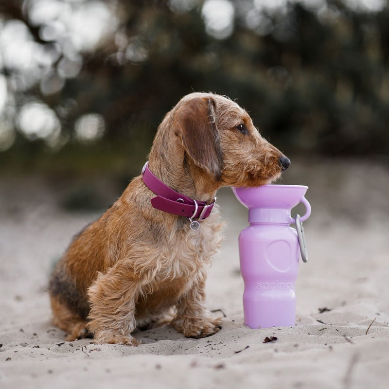 Springer 22oz - Lilac Travel Bottle