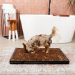 Bark Potty - Eco-Friendly Pee Pad 24x16