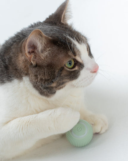 Dexypaws Interactive Toy For Cats - Smart Rotating Ball - Sage Green