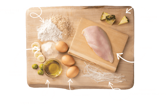 Earth Animal No-Hide Chicken Recipe Small Roll