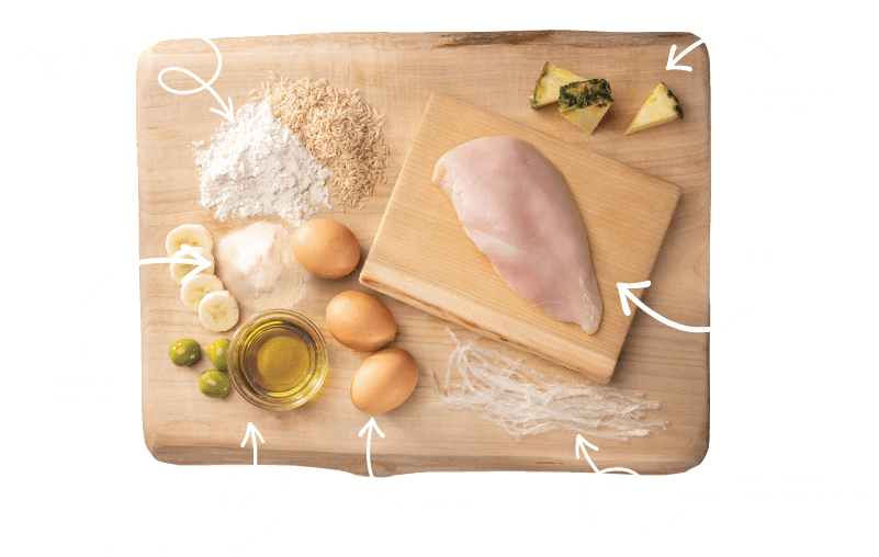 Earth Animal No-Hide Chicken Recipe Small Roll