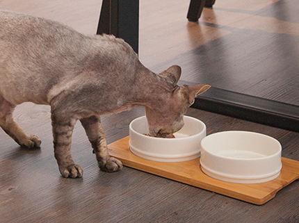Be One Breed - Ceramic Cat & Dog Bowls with Bamboo Tray - White, Medium