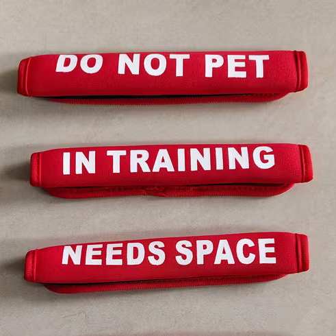 Reflective Dog Leash Sleeves for Training & Safety - Warning Messages
