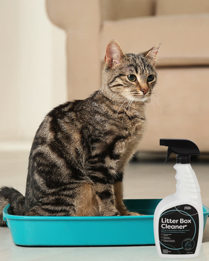 EnviroFresh Litter Box Odour Eliminator Cleaner - Cats (950ml)