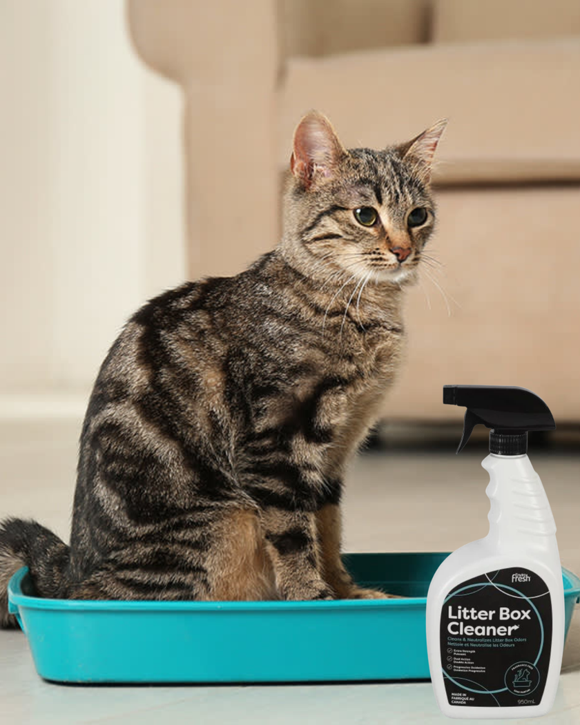 EnviroFresh Litter Box Odour Eliminator Cleaner - Cats (950ml)