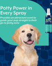 NaturVet Potty Here Training Aid (8oz)