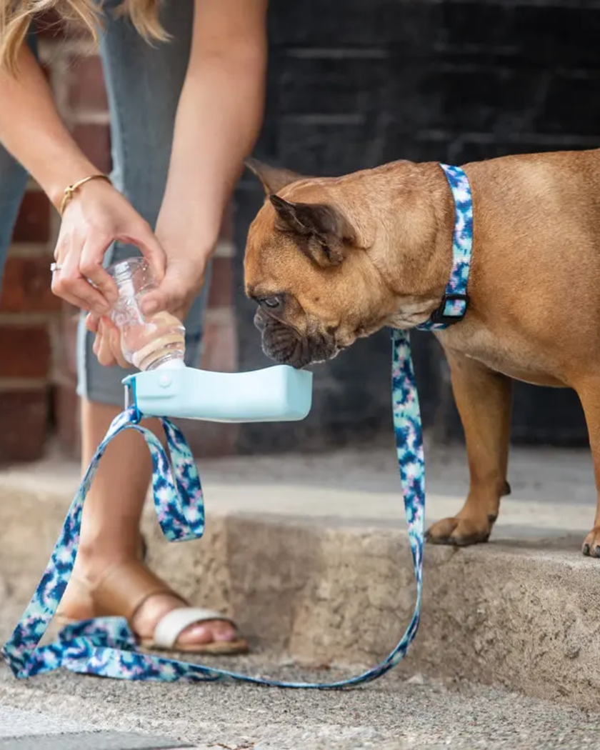 GF Pet Water Bottle - Blue (250ml)