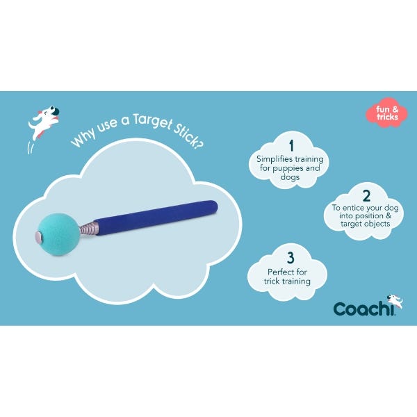 Coachi Target Stick - Navy & Light Blue