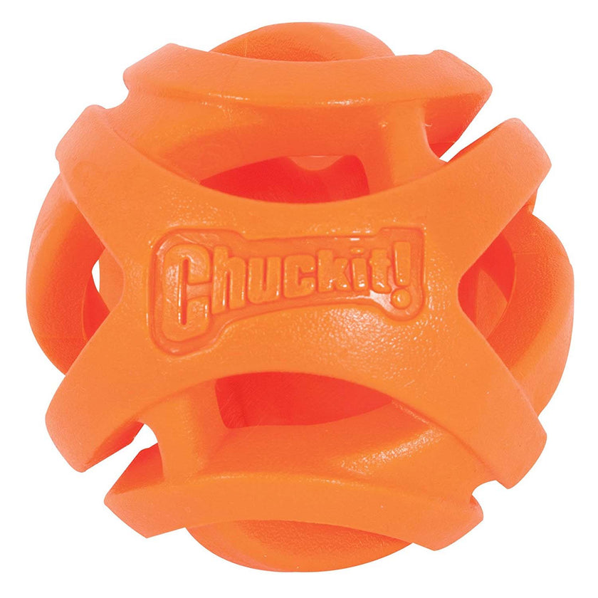 Chuckit! Air Fetch Ball Dog Toy 