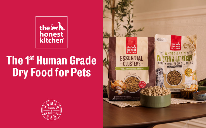 The Honest Kitchen Whole Food Clusters - Grain Free Chicken Recipe (20lb)