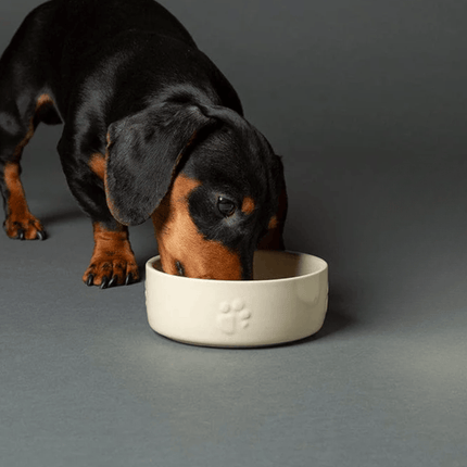 Scruffs Icon Food Bowl - 7.5