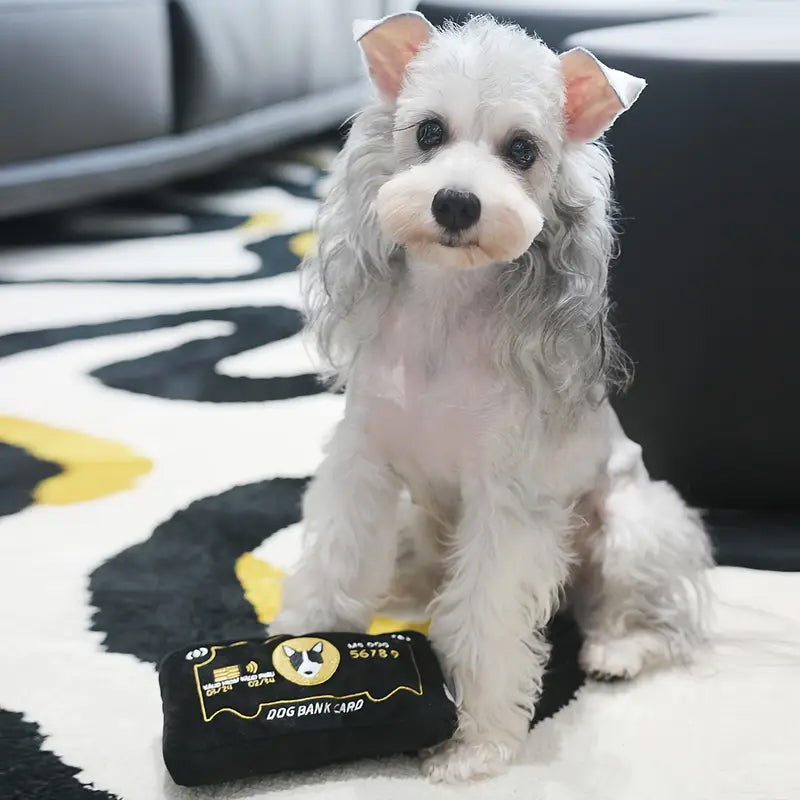 Pawment Approved Squeaky Card