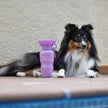 Springer 22oz - Travel Bottle - Lilac
