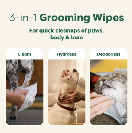 earth rated - Grooming Wipes White Tea & Basil (100ct)